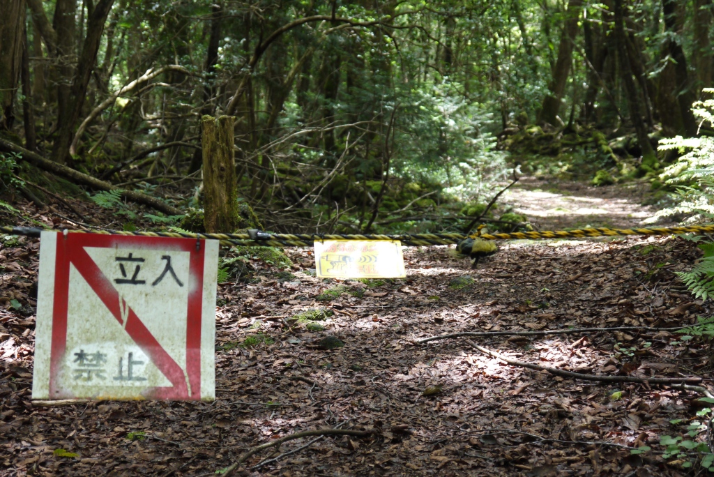 A leaf covered track going off into the woods. Across the path is a yellow and black rope on to which are attached two signs. One cannot be seen clearly. The other has a red box and diagonal line across it, and some kanji on it - stating that entry is prohibited.